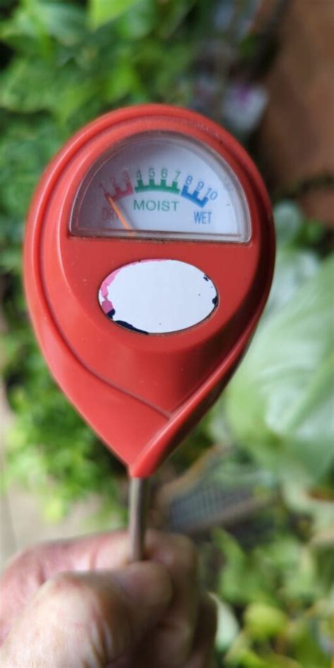 Dried Tomato moisture meter|tomato moisture level calculator.